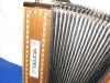Delicia 21 button 8 bass accordion